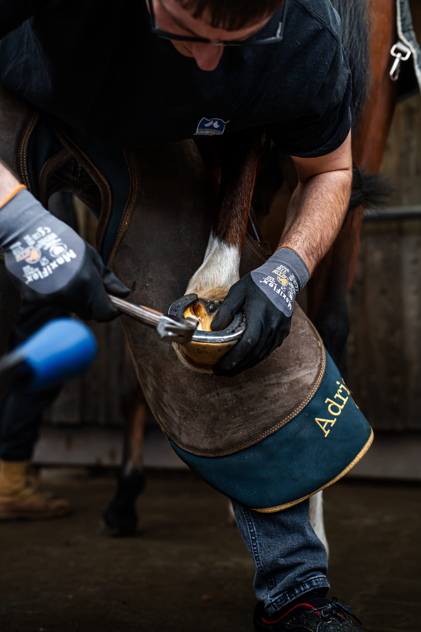 Präzisionsarbeit am Huf